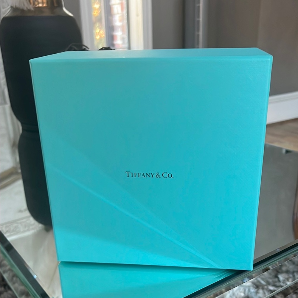 Tiffany & Co. Blue Gift Box